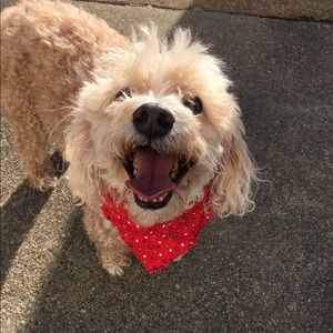 Meet your Posher, Asia